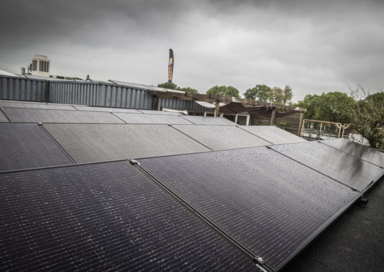 Rymax 09 29 1120 min